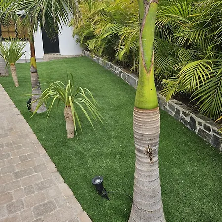 Casa de Férias Ibis