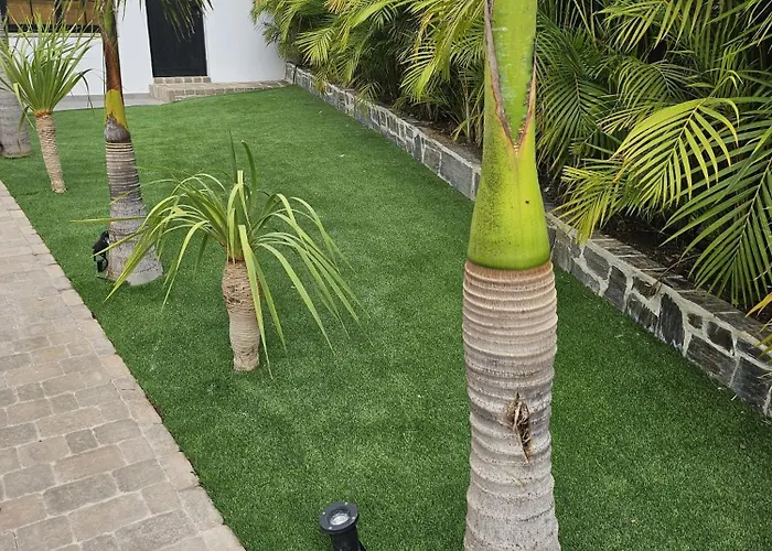 Casa de Férias Ibis