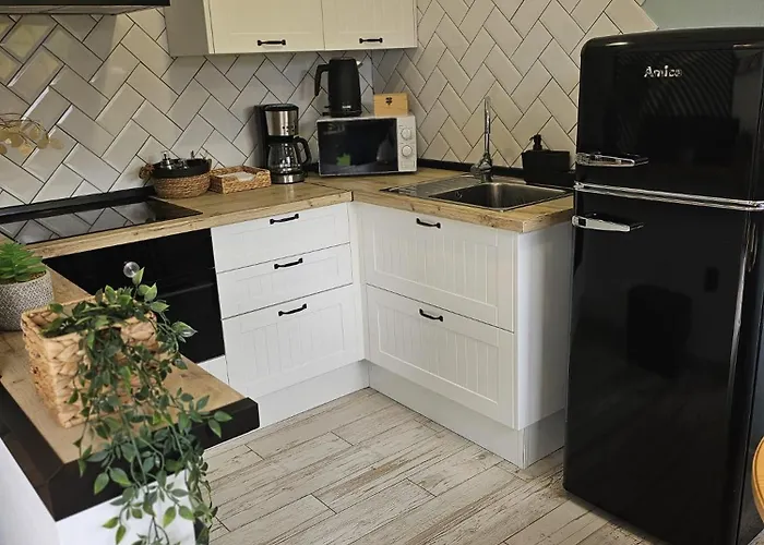 Ibis Tijoco de Abajo